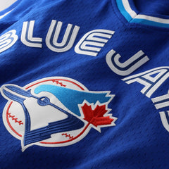 MLB Joe Carter Toronto Blue Jays Mitchell & Ness Authentic Batting Practice Jersey