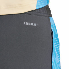 Argentina National Team 2024 AEROREADY Training Pants - Adidas Gray