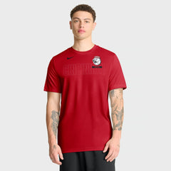 MLB Cincinnati Reds Nike Knockout Team Legend Dri-FIT T-Shirt
