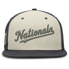 MLB Washington Nationals Nike Dri-FIT True Fitted Hat