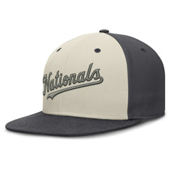 MLB Washington Nationals Nike Dri-FIT True Fitted Hat