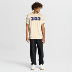 MLB Chicago Cubs Nike Swoosh Legend Dri-FIT T-Shirt