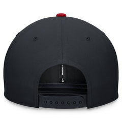 MLB Minnesota Twins Nike Two-Tone Snapback Hat