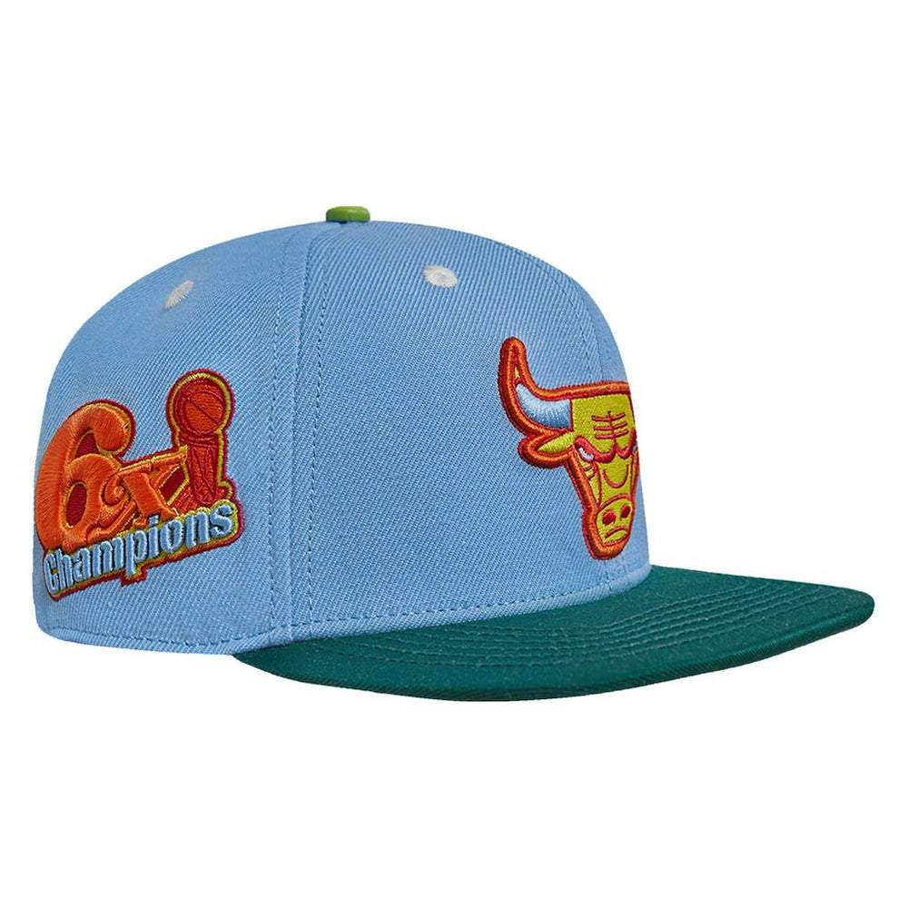 NBA Chicago Bulls Pro Standard Retro Program 2-Tone Snapback Hat