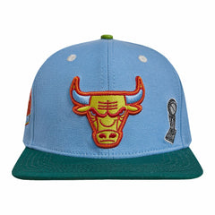 NBA Chicago Bulls Pro Standard Retro Program 2-Tone Snapback Hat
