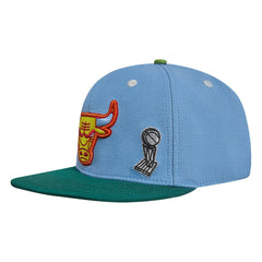 NBA Chicago Bulls Pro Standard Retro Program 2-Tone Snapback Hat