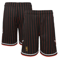 NBA Chicago Bulls Youth Hardwood Classics Swingman Shorts