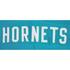 NBA Charlotte Hornets Pro Standard Women's 2023/24 City Edition Cropped Pullover Hoodie