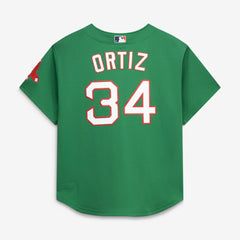 MLB David Ortiz Boston Red Sox Mitchell & Ness Cooperstown Collection Mesh Batting Practice Jersey