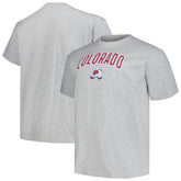 NHL Heather Gray Colorado Avalanche Profile Big & Tall Arch Over Logo T-Shirt