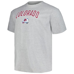 NHL Heather Gray Colorado Avalanche Profile Big & Tall Arch Over Logo T-Shirt