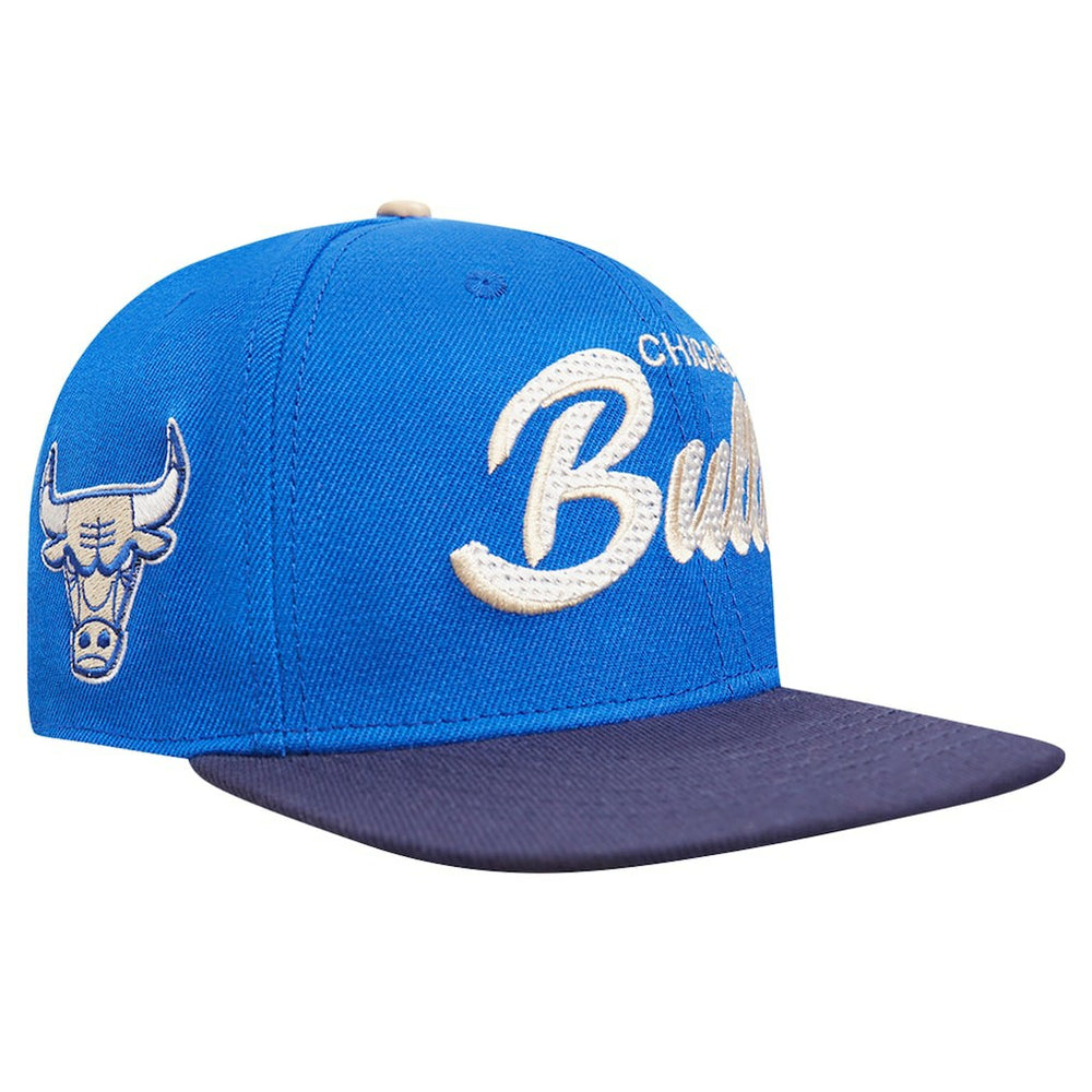 NBA Chicago Bulls Pro Standard Legacy Snapback Hat