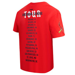 MLB St. Louis Cardinals Pro Standard Oversized City Tour T-Shirt