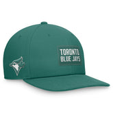 MLB Toronto Blue Jays Nike Bicoastal Pro Performance Snapback Hat