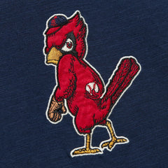 MLB St. Louis Cardinals Mitchell & Ness Cooperstown Collection Legendary Raglan Slub Henley Three-Quarter Sleeve T-Shirt
