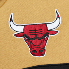 NBA Chicago Bulls Head Coach Pullover Hoodie