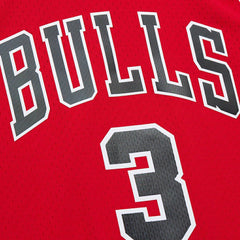 NBA Dwyane Wade Chicago Bulls 2016/17 Hardwood Classics Swingman Jersey sale