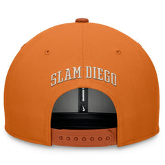 MLB San Diego Padres Nike Pro Dunk Performance Snapback Hat