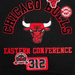 NBA Chicago Bulls Pro Standard Women's Area Code Cropped Pullover Sweatshirt