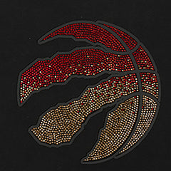 NBA Toronto Raptors Pro Standard Women's Jewels Boxy Cropped T-Shirt