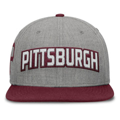 MLB Pittsburgh Pirates Fanatics Elements Felt Chainstitch Snapback Hat