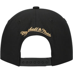 NHL Black Florida Panthers Mitchell & Ness Core Team Script 2.0 Snapback Hat