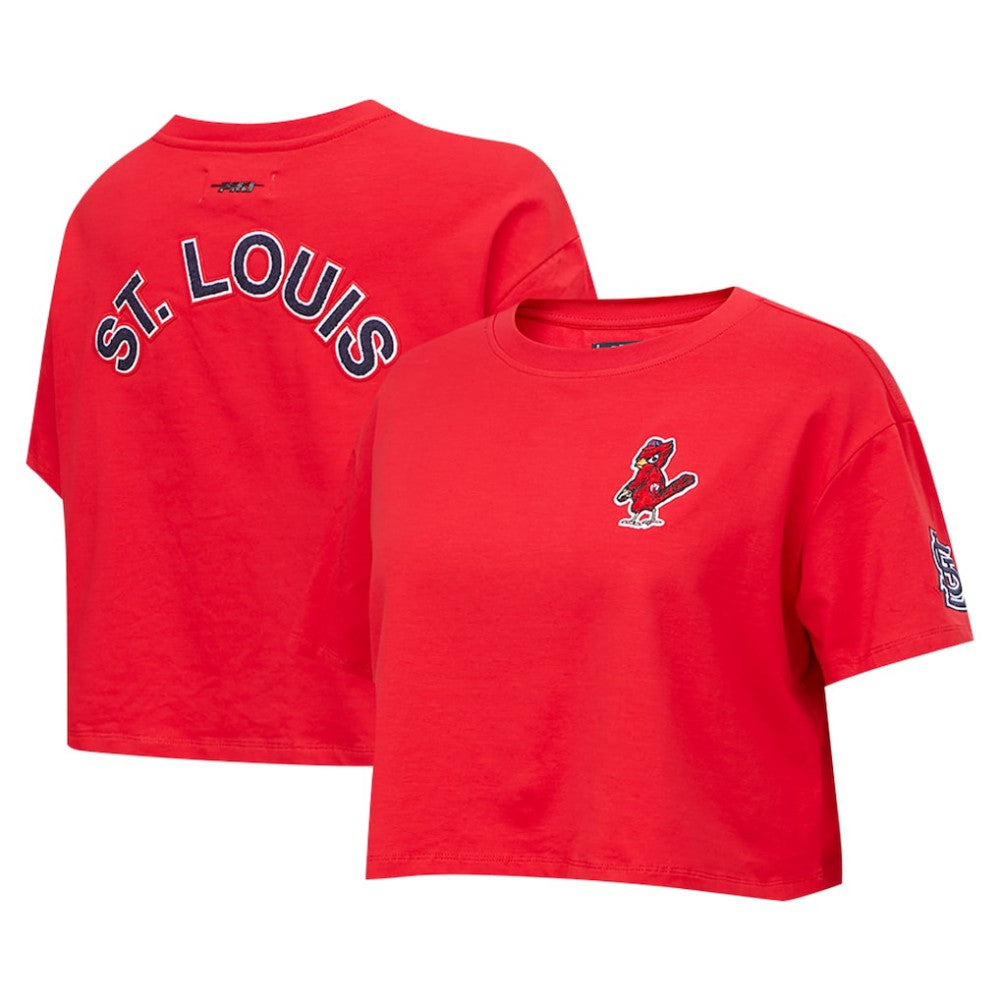 MLB Washington Nationals Pro Standard Women's Classic SJ Cropped Boxy T-Shirt