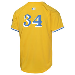MLB David Ortiz Boston Red Sox Nike Youth City Connect Limited Player Jersey