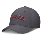 MLB Arizona Diamondbacks Nike Swoosh Performance Flex Hat