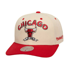 NBA Chicago Bulls 6x NBA Champions Soul Legacy Defined Snapback Hat