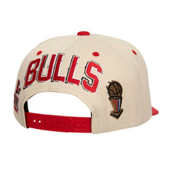 NBA Chicago Bulls 6x NBA Champions Soul Legacy Defined Snapback Hat