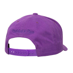 NBA Phoenix Suns Washed Out Tonal Logo Snapback Hat