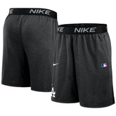 MLB Los Angeles Dodgers Nike Authentic Collection Performance Knit Shorts