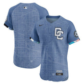 MLB Washington Nationals Nike 2025 City Connect Elite Jersey