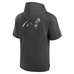 Elements Future Ground Lettering Short Sleeve Pullover Hoodie - Carolina Panthers
