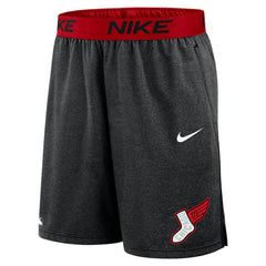 MLB Chicago White Sox Nike 2025 City Connect Authentic Collection Knit Shorts
