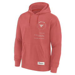 NBA Chicago Bulls Future Ground Info Elements Premium Pullover Hoodie
