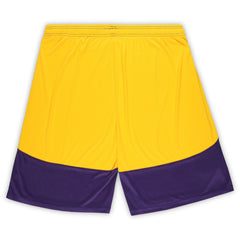 Big & Tall Launch Shorts - Minnesota Vikings