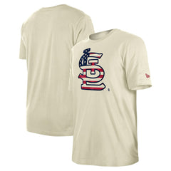 MLB St. Louis Cardinals New Era Americana Flag Fill T-Shirt
