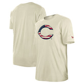 MLB Cincinnati Reds New Era Americana Flag Fill T-Shirt