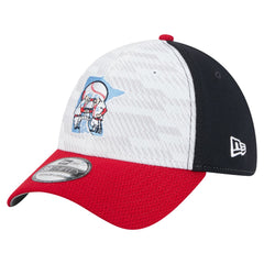MLB Minnesota Twins New Era 2025 MLB Clubhouse 39THIRTY Flex Hat