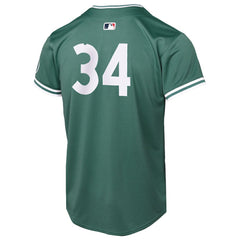MLB David Ortiz Boston Red Sox Nike Youth 2025 City Connect Limited Retired Player Jersey
