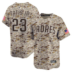 MLB Fernando Tatis Jr. San Diego Padres Nike Alternate 2 Limited Jersey
