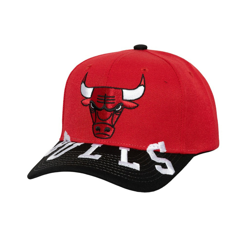NBA Chicago Bulls Underarch Two-Tone Pro Crown Snapback Hat