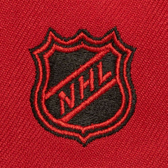 NHL Red Detroit Red Wings Mitchell & Ness Soul Triple Up Snapback Hat