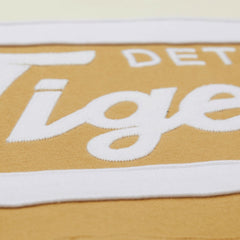 MLB Detroit Tigers Mitchell & Ness Head Coach Pullover Hoodie