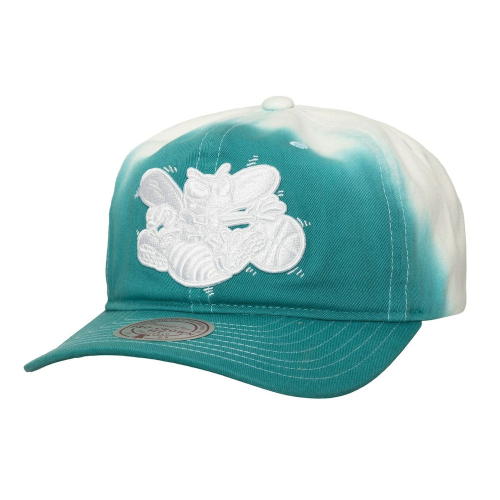 NBA Charlotte Hornets Dip Dye Pro Crown Adjustable Hat