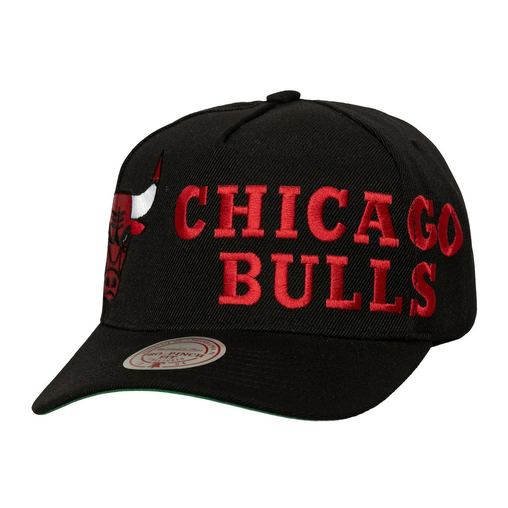 NBA Chicago Bulls Busted Logo Wordmark Wrap-Around Pro Pinch Adjustable Hat