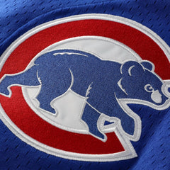 MLB Ryne Sandberg Chicago Cubs Mitchell & Ness Cooperstown Collection 1997 Mesh Batting Practice Button-Up Jersey