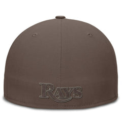 MLB Tampa Bay Rays Nike True Statement 20th AnniversaryPerformance Fitted Hat